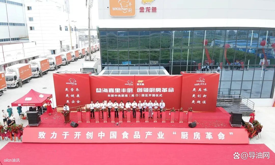 周口市金龍魚榨油廠簡介 周口市金龍魚榨油廠簡介 龍魚百科 第3張