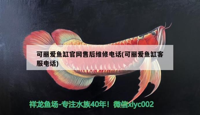 可麗愛魚缸官網維修電話地址，可麗愛魚缸官網提供維修服務 可麗愛魚缸官網維修電話地址，可麗愛魚缸官網提供維修服務 龍魚百科 第4張