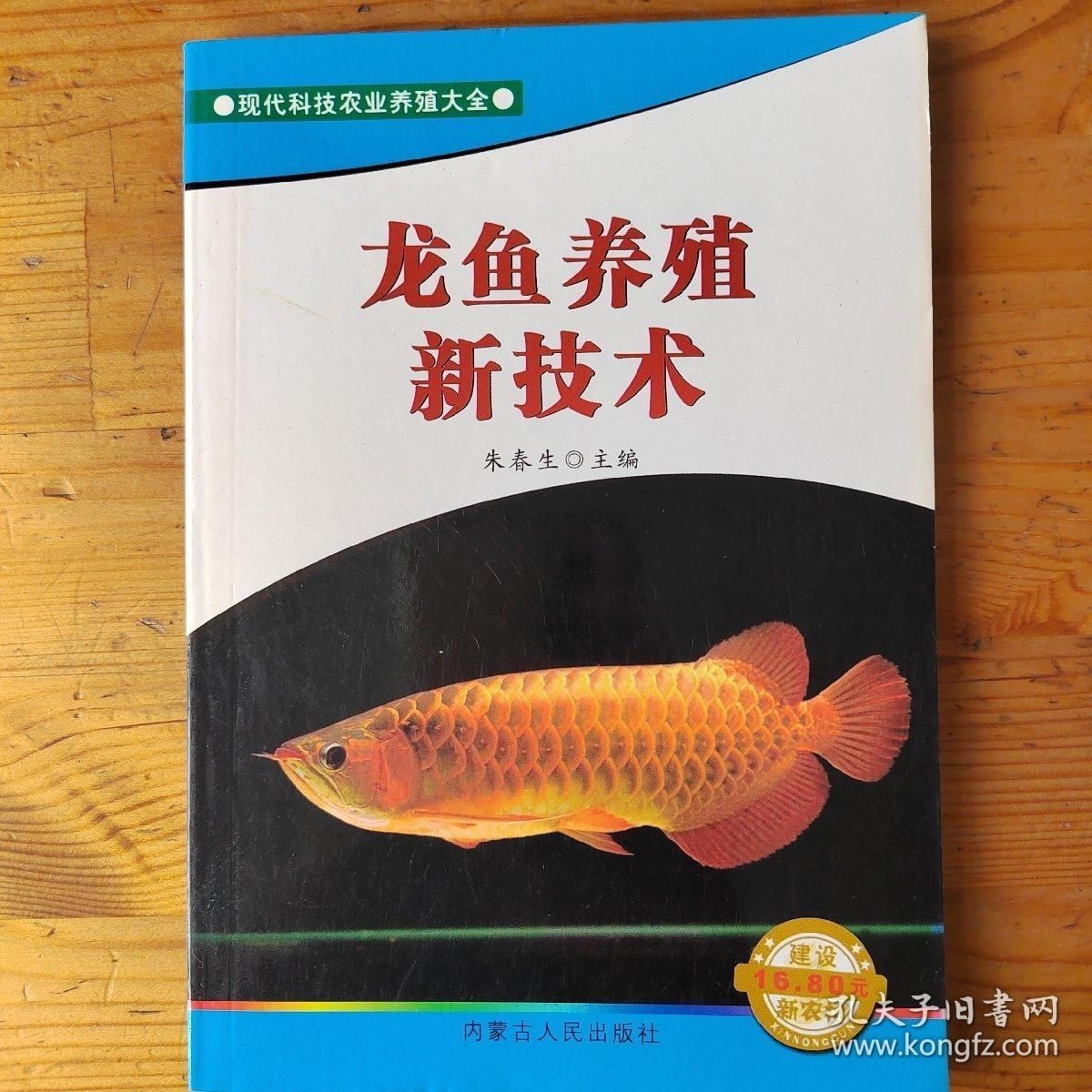 養龍魚賺錢嗎？：養龍魚是否賺錢取決于多種因素
