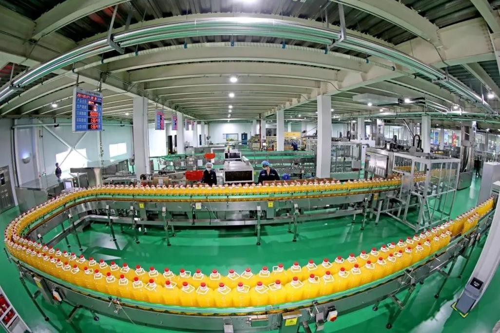 金龍魚哪國的豆油