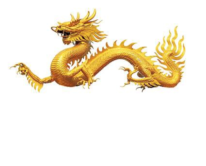海底金龍魚圖片 海底金龍魚圖片 龍魚百科 第1張