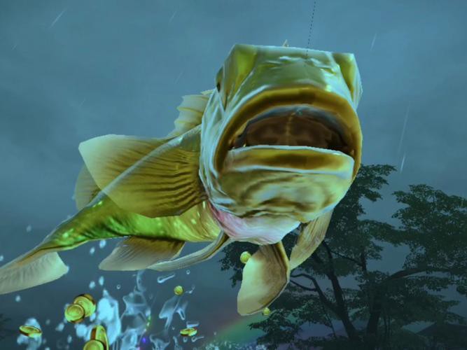 海底金龍魚圖片 海底金龍魚圖片 龍魚百科 第18張