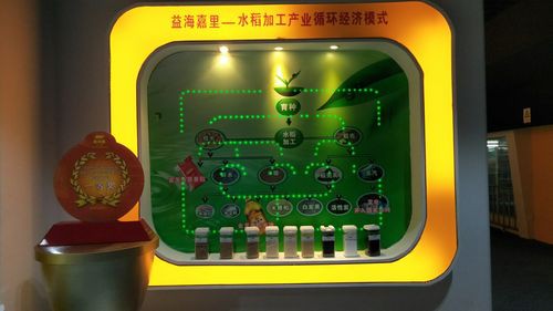 金龍魚(yú)新疆棉花籽榨油廠