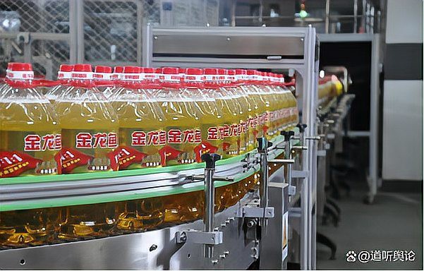 金龍魚(yú)新疆棉花籽榨油廠