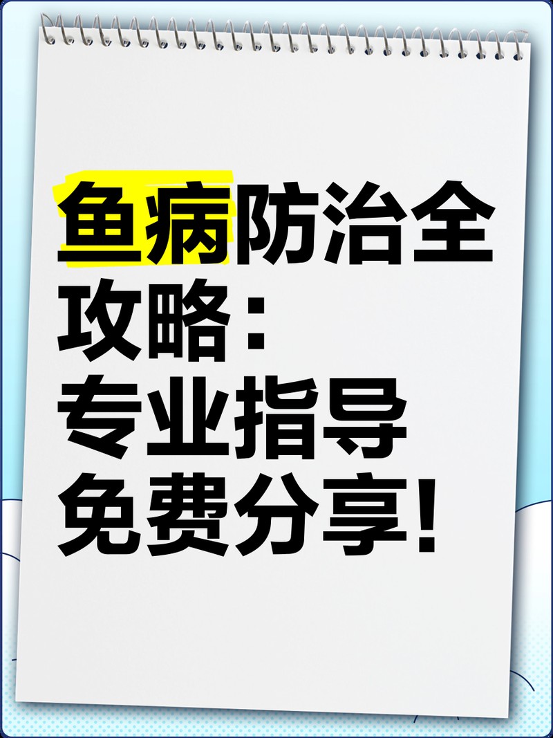 如何判斷龍魚鰭爛是否嚴重？