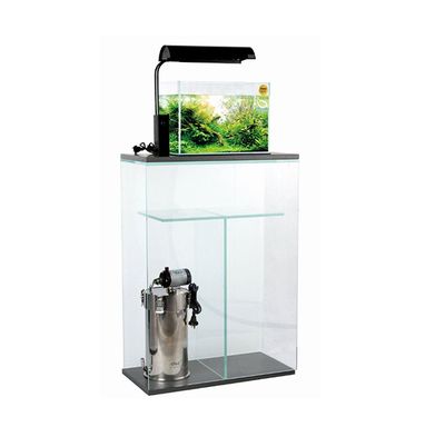 夏天魚缸水溫31度龍魚會死嗎：夏天魚缸水溫31度龍魚會死嗎,魚缸水溫31度龍魚會死嗎 夏天魚缸水溫31度龍魚會死嗎：夏天魚缸水溫31度龍魚會死嗎,魚缸水溫31度龍魚會死嗎 龍魚百科 第1張