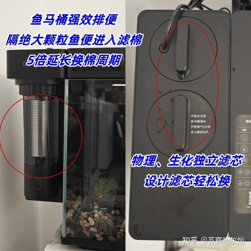龍魚混養時，哪種過濾設備最好？