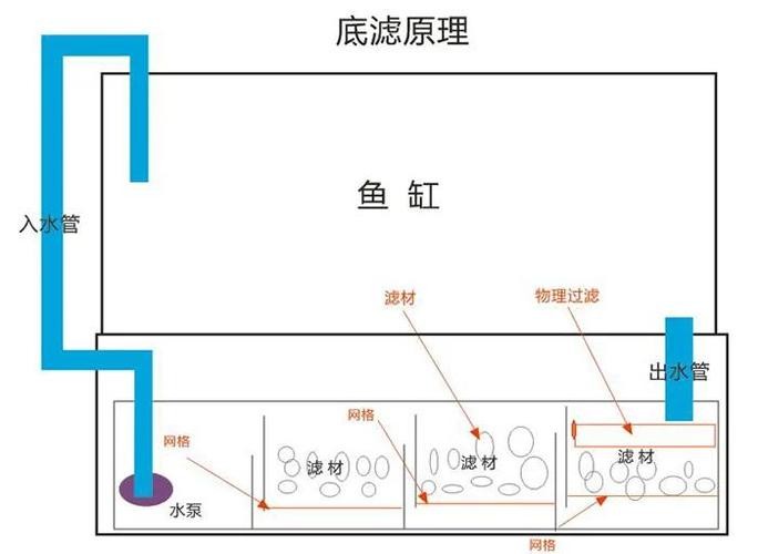 龍魚混養時，哪種過濾設備最好？