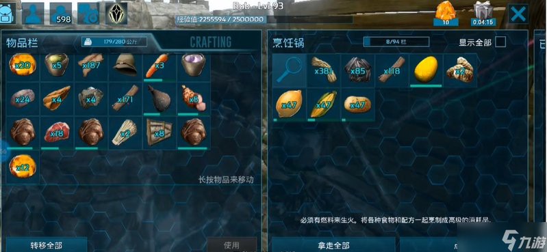 戰(zhàn)車紅龍的最佳飼料是什么？