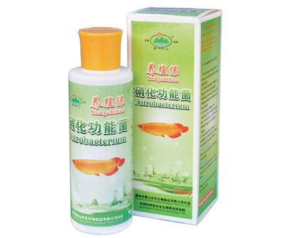 龍魚用什么藥水泡金魚好養(yǎng)：龍魚用什么藥水泡金魚