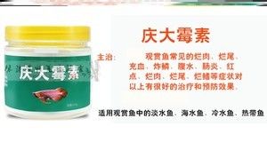 紅霉素眼膏治龍魚蒙眼（紅霉素眼膏可以治療龍魚蒙眼嗎）