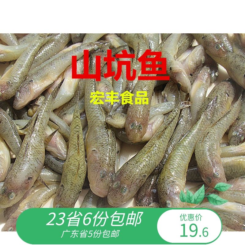 小龍魚吃什么長的快：如何通過飲食來促進小龍魚的快速生長