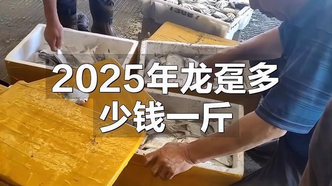 龍躉魚為什么那么貴