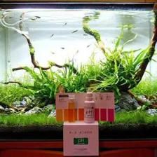 龍魚缸pH值調節方法（如何調節龍魚缸的ph值）