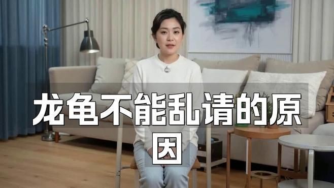 龍龜的擺放有哪些禁忌？