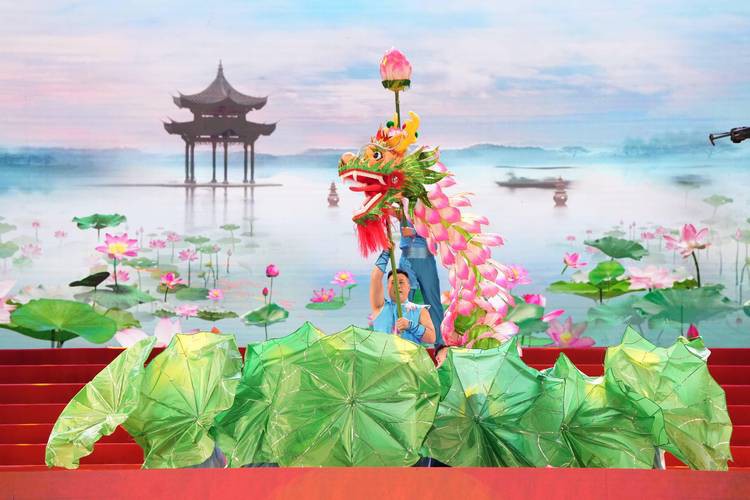 金龍魚群的圖片