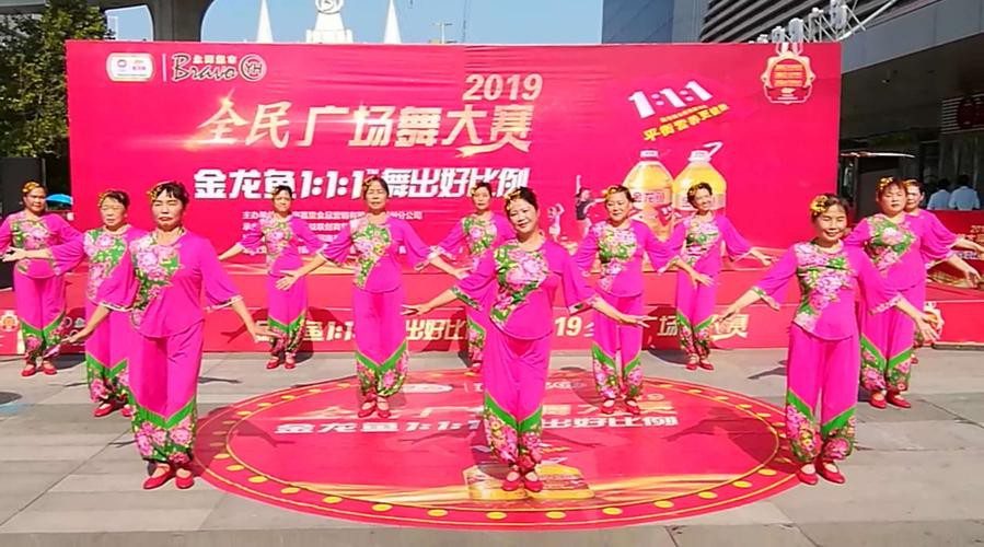 金龍魚群的圖片