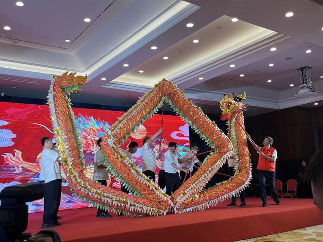 金龍魚群的圖片