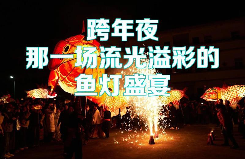 金龍魚群的圖片