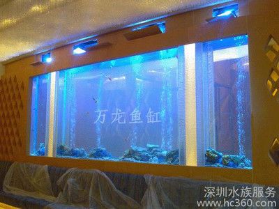 萬龍魚（萬龍魚并不是一個(gè)常見的科學(xué)分類名稱） 萬龍魚（萬龍魚并不是一個(gè)常見的科學(xué)分類名稱） 龍魚百科 第1張