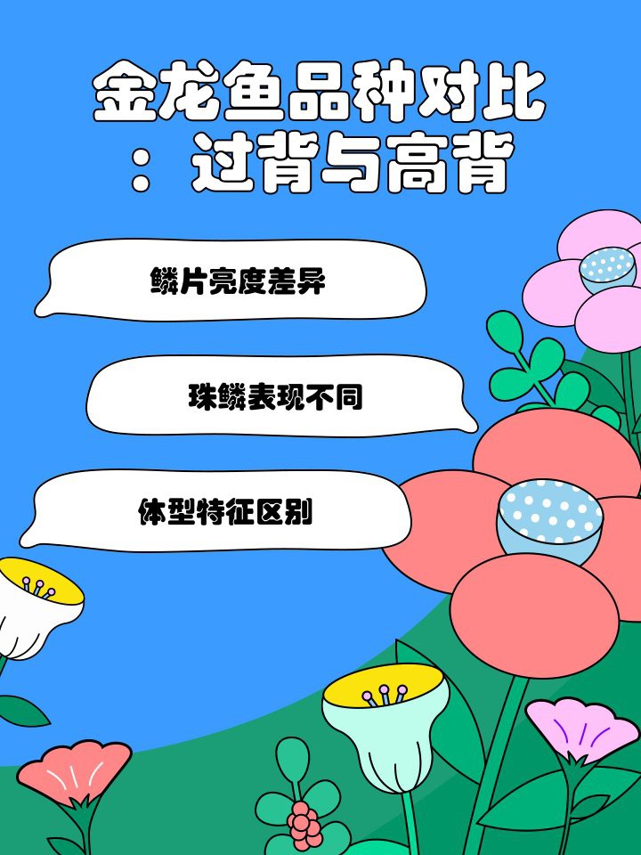 過背金龍魚第六排鱗片發亮的具體表現 過背金龍魚第六排鱗片發亮的具體表現 龍魚百科 第4張