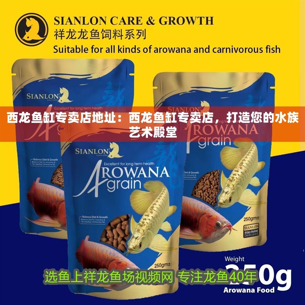 西龍魚缸專賣店地址：西龍魚缸專賣店，打造您的水族藝術殿堂