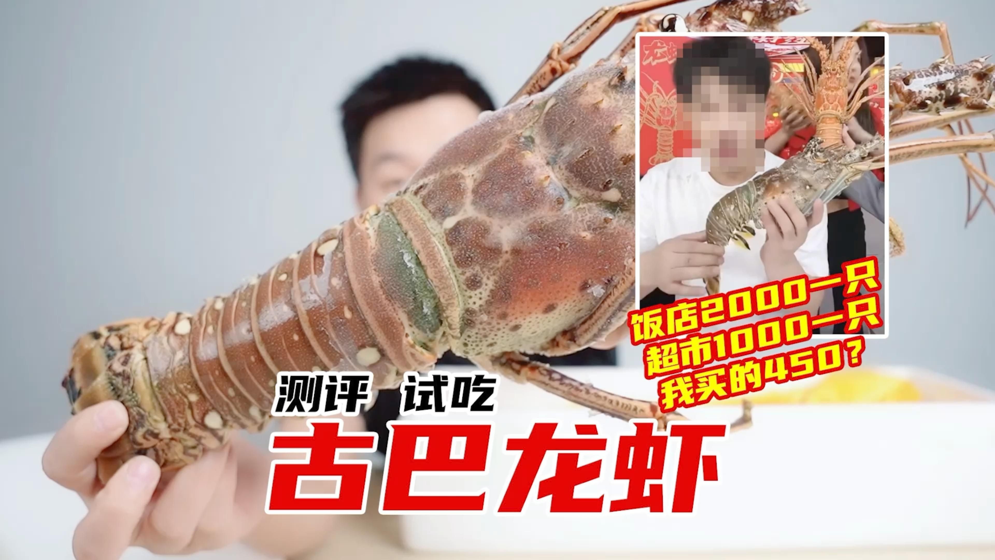 巨型龍蝦 龍魚百科 第4張 巨型龍蝦 巨型龍蝦 龍魚百科 第4張