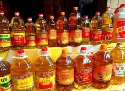 金龍魚進貨價多少，金龍魚的進貨價格 金龍魚進貨價多少，金龍魚的進貨價格 龍魚百科 第2張