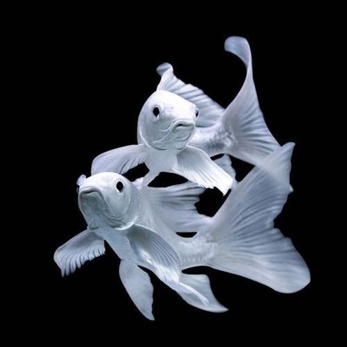 給我一些龍魚圖片欣賞