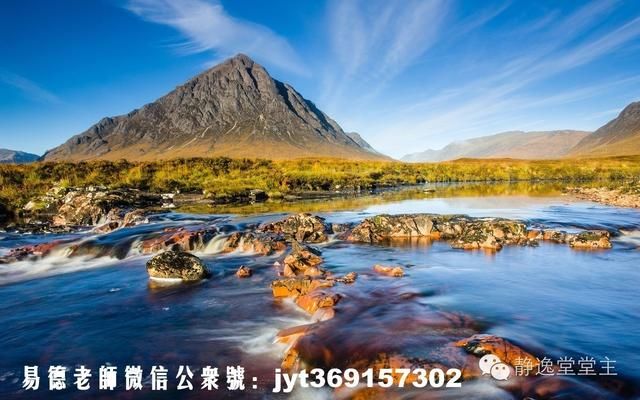 養金龍魚10大忌（養金龍魚的十大忌諱） 養金龍魚10大忌（養金龍魚的十大忌諱） 龍魚百科 第1張