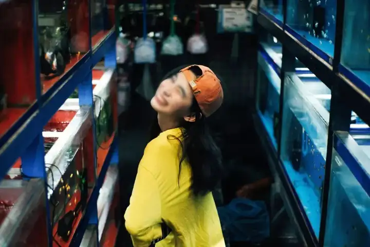 做夢都想養的觀賞魚，每一條都貴得離譜