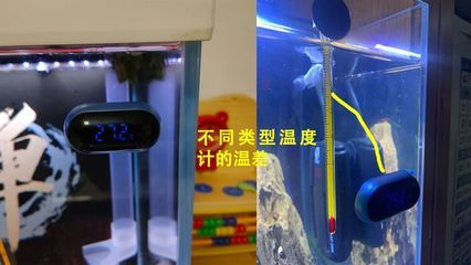 紅龍魚魚缸溫度多少合適：關于紅龍魚魚缸溫度管理的詳細信息