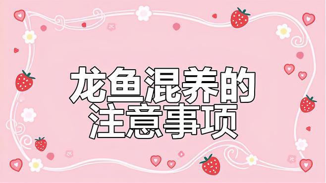 如何降低龍魚混養(yǎng)的風(fēng)險 如何降低龍魚混養(yǎng)的風(fēng)險 龍魚百科 第5張