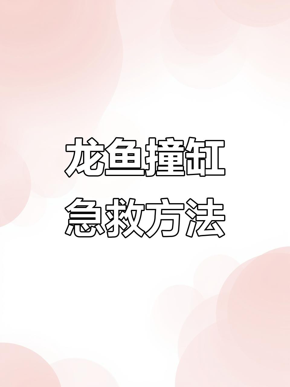 龍魚呼吸急促如何急救？