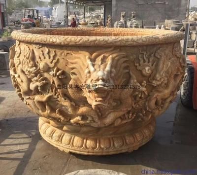 九龍魚缸要養(yǎng)什么龍魚好：九龍魚缸中適宜飼養(yǎng)的龍魚品種：銀龍魚、黑龍魚、粗線銀板