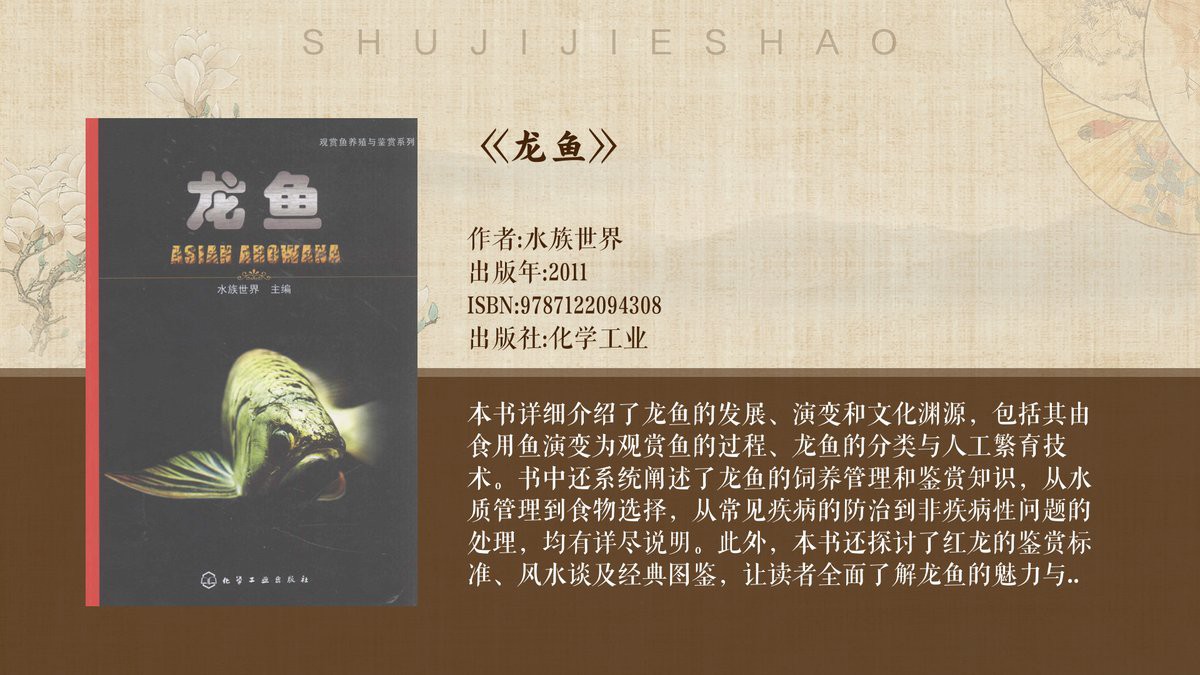 紅龍魚原產地在哪個國家 紅龍魚原產地在哪個國家 龍魚百科 第1張