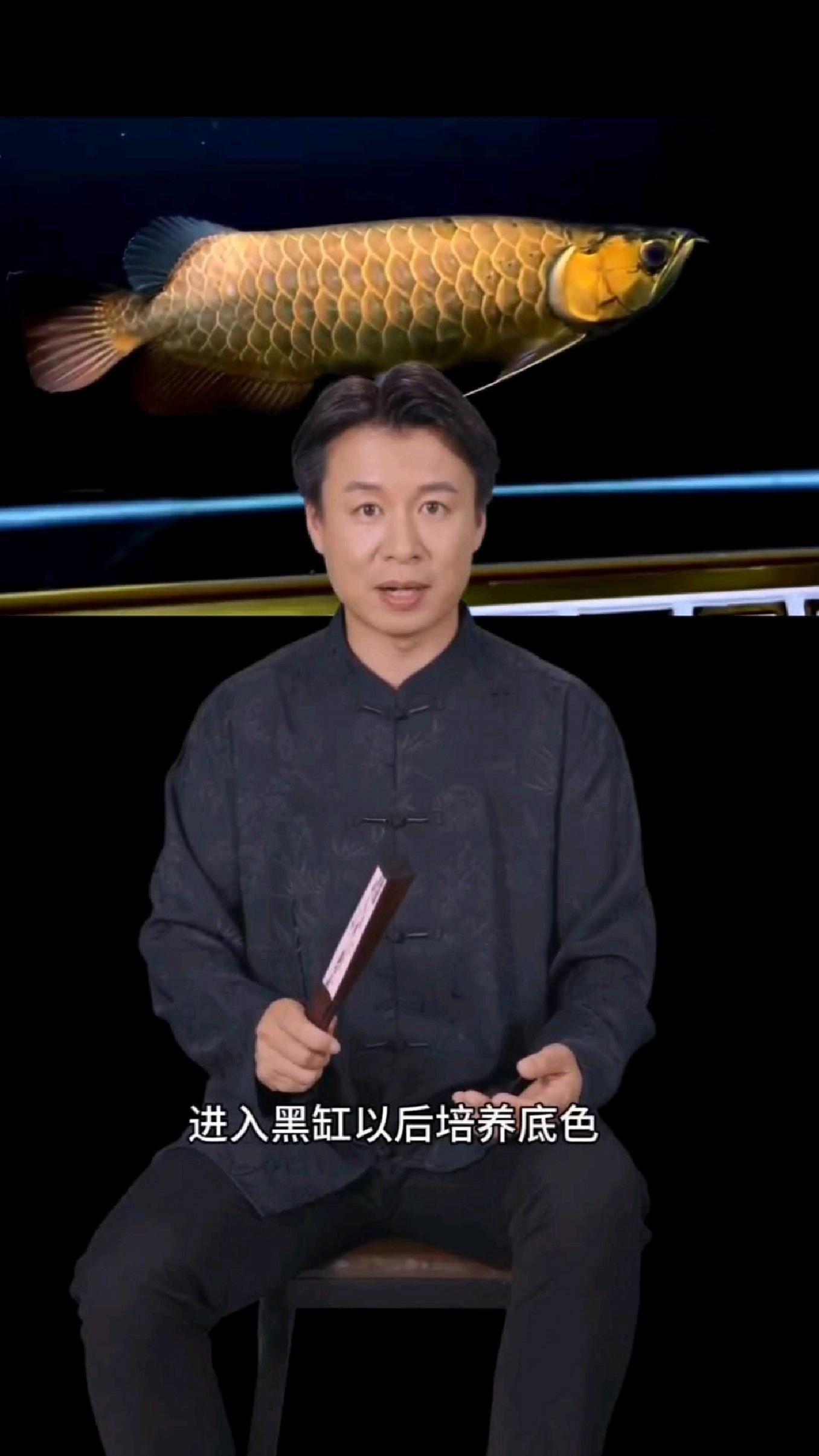 如何預(yù)防過(guò)背金龍的鱗片病變？ 如何預(yù)防過(guò)背金龍的鱗片病變？ 龍魚(yú)百科 第1張