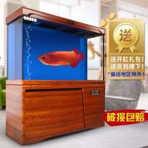 養龍魚用什么魚缸比較好：養龍魚最好選擇尺寸足夠大、形狀穩重、材質適合定制、品牌信譽良好的魚缸