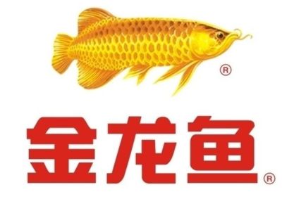 中國畫金龍魚第一人（中國畫金龍魚第一人——劉千碩） 中國畫金龍魚第一人（中國畫金龍魚第一人——劉千碩） 龍魚百科 第5張