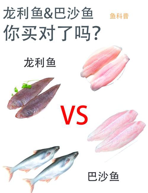 怎樣區分龍利魚和巴沙魚？ 怎樣區分龍利魚和巴沙魚？ 龍魚百科 第3張