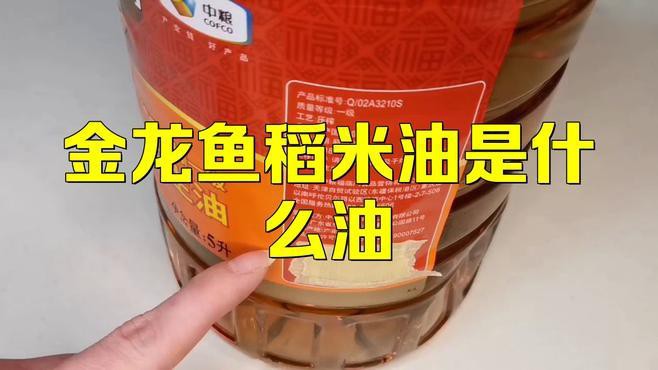 金龍魚的油怎么樣