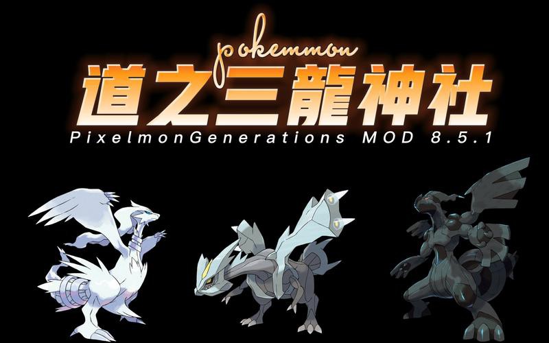 能提供更多道之三龍的高清壁紙嗎？