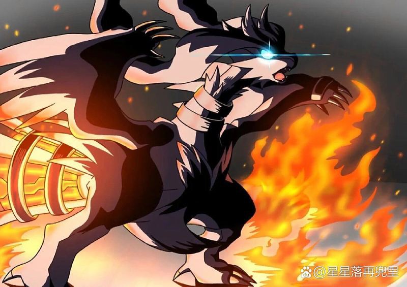 能提供更多道之三龍的高清壁紙嗎？