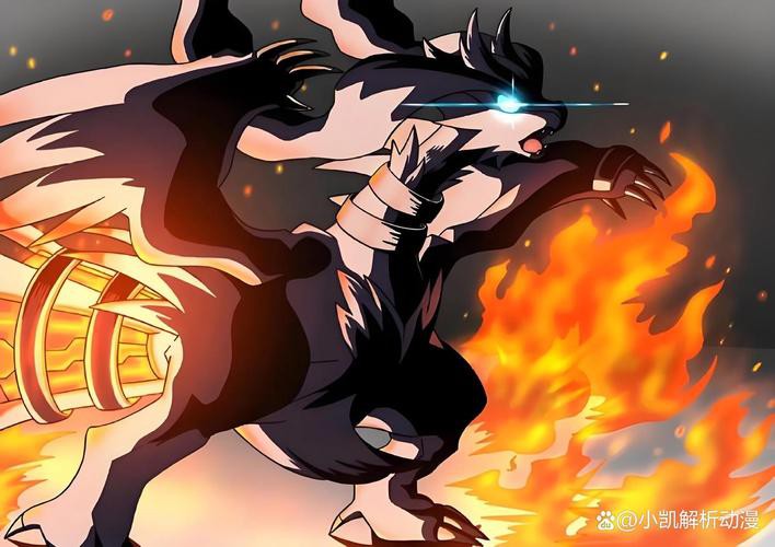 能提供更多道之三龍的高清壁紙嗎？