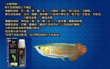 養龍魚必備藥劑是什么：養龍魚必備的一些藥劑及其使用注意事項