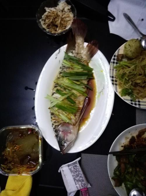 清蒸紅龍魚圖片 龍魚百科 第10張 清蒸紅龍魚圖片 清蒸紅龍魚圖片 龍魚百科 第10張