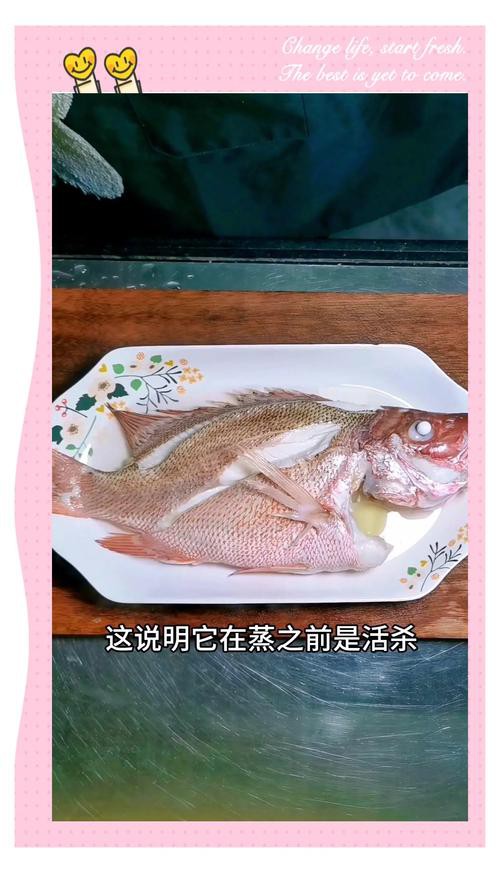 清蒸紅龍魚圖片 龍魚百科 第25張 清蒸紅龍魚圖片 清蒸紅龍魚圖片 龍魚百科 第25張