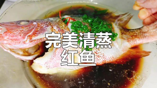 清蒸紅龍魚圖片 清蒸紅龍魚圖片 龍魚百科 第27張