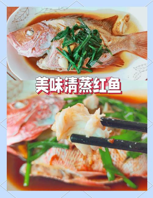 清蒸紅龍魚圖片
