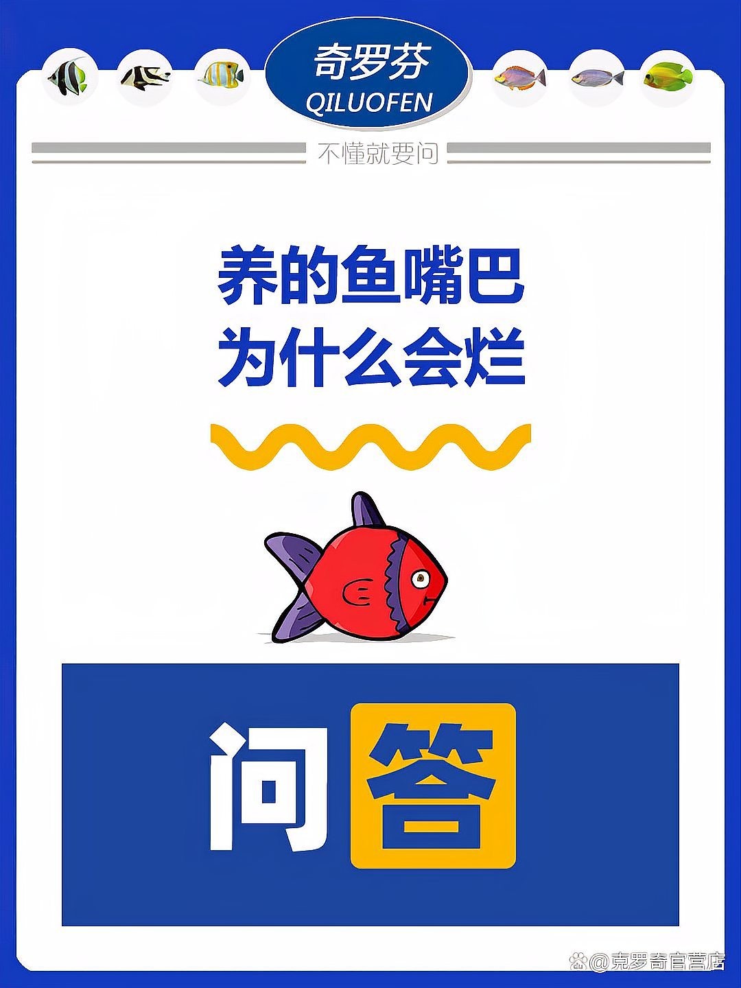 龍魚嘴巴爛了會傳染嗎？
